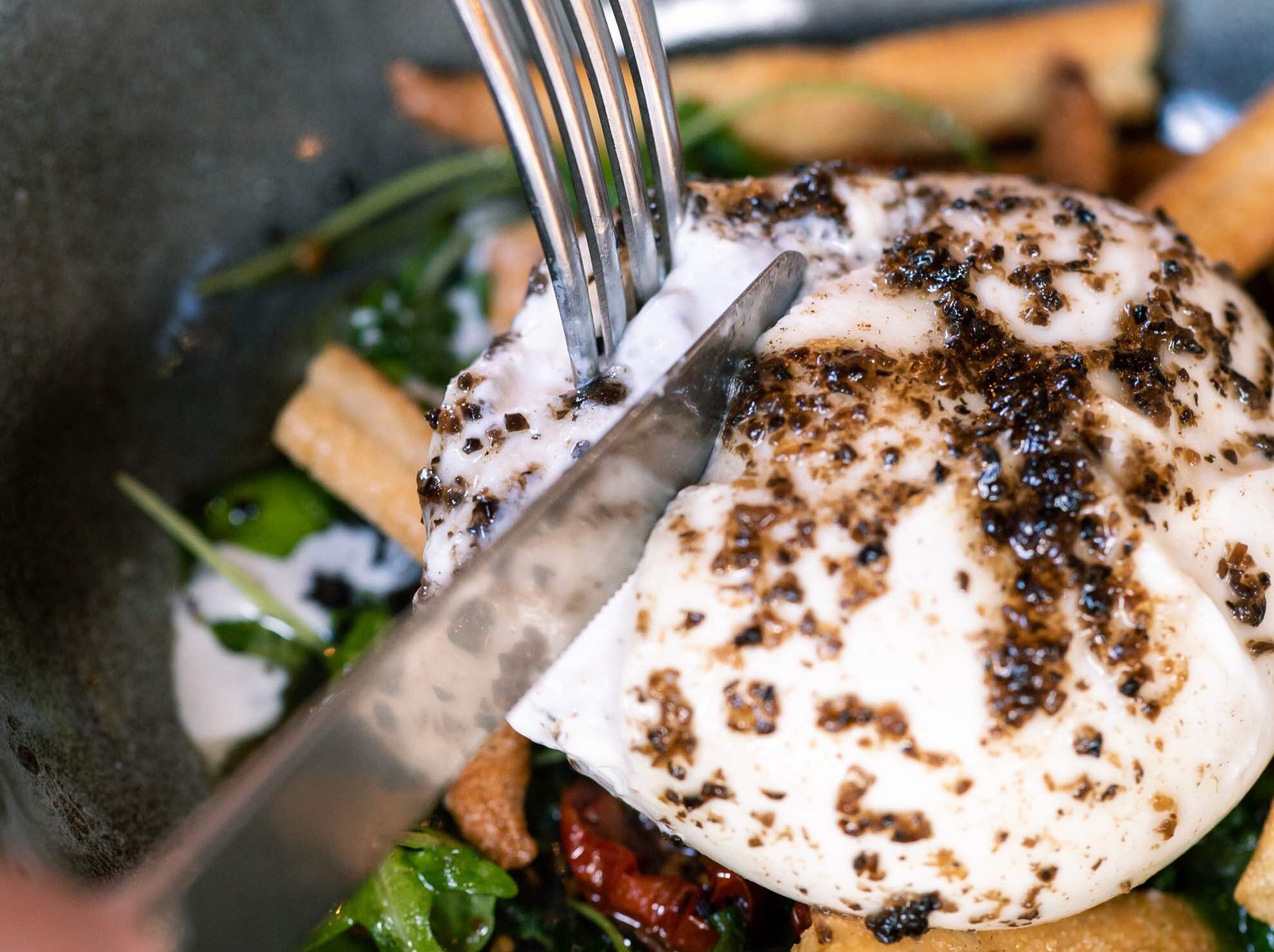 Burrata con miel de trufa